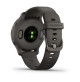 Venu 2S - Slate Stainless Steel Bezel With Graphite Case and Silicone Band - 010-02429-10 - Garmin